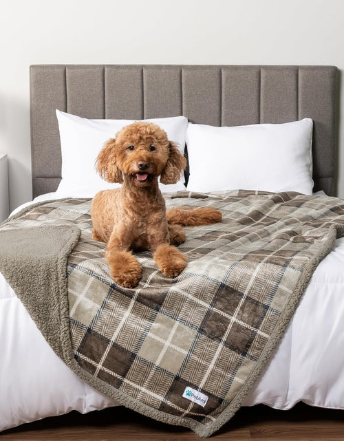 Load image into Gallery viewer, Waterproof Dog Blanket for Bed, Couch, Sofa | Waterproof Dog Bed Cover for Large Dogs, Puppies | Checkered Sherpa Fleece Pet Blanket Furniture Protector | Reversible | 80 X 60 (Taupe)
