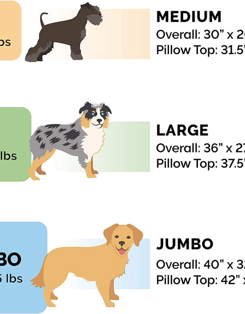 Load image into Gallery viewer, Pet Bed for Dogs and Cats - Plush Minky Faux Fur and Suede Pillow Top Cushion Mattress Egg Crate Orthopedic Dog Bed, Removable Machine Washable Cover - Titanium Gray, Medium
