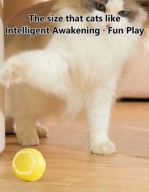 Load image into Gallery viewer, Pet Health and Wellness Products Clearance Automatic Smart Teasing Dog Ball Gravity Intelligent Jump Ball Electric Charging Dog Toy Pink

