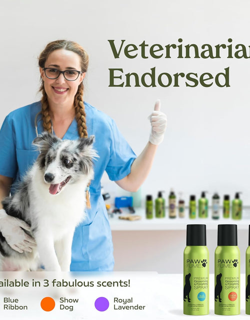 Load image into Gallery viewer, Grooming Spray Dog Spray Deodorizer Perfume for Dogs - Dog Cologne Spray Long Lasting Dog Sprays - Dog Perfume Spray Long Lasting after Bath- Dog Deodorizing Spray (Lavender)

