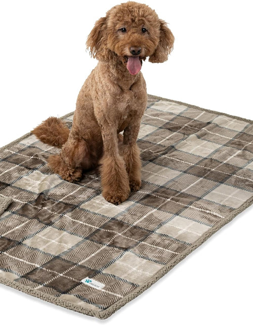 Load image into Gallery viewer, Waterproof Dog Blanket for Bed, Couch, Sofa | Waterproof Dog Bed Cover for Large Dogs, Puppies | Checkered Sherpa Fleece Pet Blanket Furniture Protector | Reversible | 80 X 60 (Taupe)
