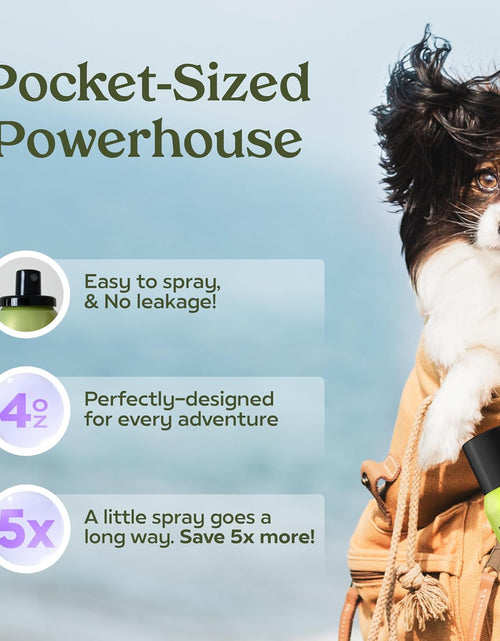 Load image into Gallery viewer, Grooming Spray Dog Spray Deodorizer Perfume for Dogs - Dog Cologne Spray Long Lasting Dog Sprays - Dog Perfume Spray Long Lasting after Bath- Dog Deodorizing Spray (Lavender)
