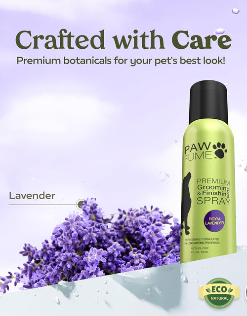 Load image into Gallery viewer, Grooming Spray Dog Spray Deodorizer Perfume for Dogs - Dog Cologne Spray Long Lasting Dog Sprays - Dog Perfume Spray Long Lasting after Bath- Dog Deodorizing Spray (Lavender)
