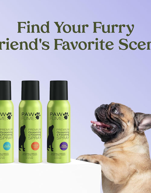 Load image into Gallery viewer, Grooming Spray Dog Spray Deodorizer Perfume for Dogs - Dog Cologne Spray Long Lasting Dog Sprays - Dog Perfume Spray Long Lasting after Bath- Dog Deodorizing Spray (Lavender)
