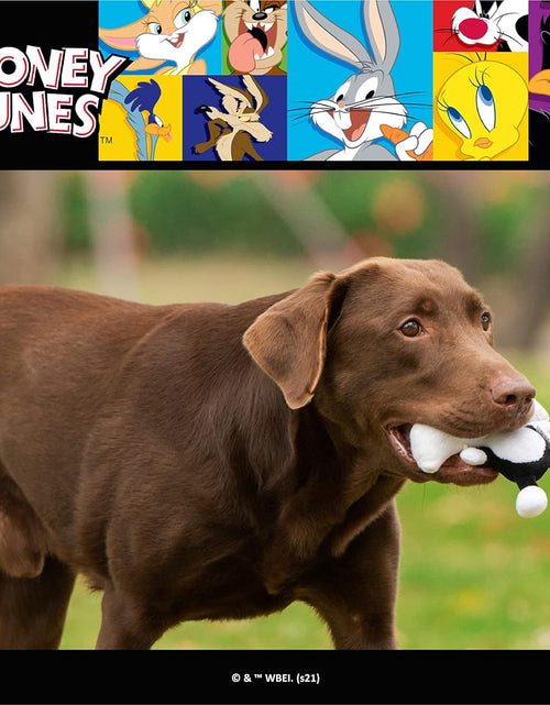 Load image into Gallery viewer, Warner Brothers  Sylvester the Cat Big Head Plush Dog Toy, Stuffed Animal for Dogs, Multiple Sizes - Sylvester Dog Toy- Cute Squeak Toy for Dogs in White, Black, and Red
