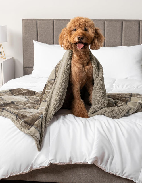 Load image into Gallery viewer, Waterproof Dog Blanket for Bed, Couch, Sofa | Waterproof Dog Bed Cover for Large Dogs, Puppies | Checkered Sherpa Fleece Pet Blanket Furniture Protector | Reversible | 80 X 60 (Taupe)
