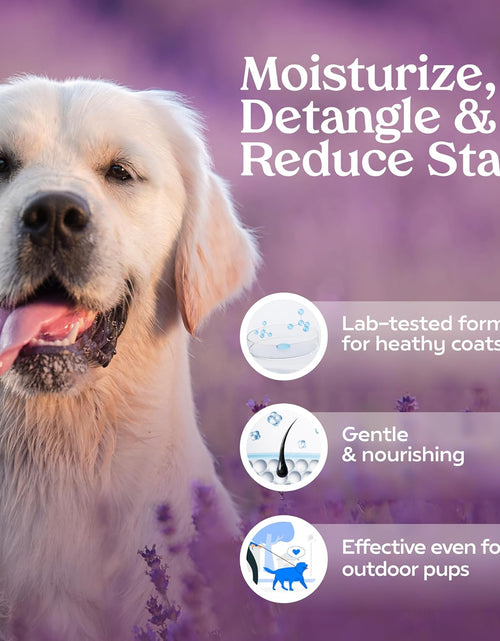 Load image into Gallery viewer, Grooming Spray Dog Spray Deodorizer Perfume for Dogs - Dog Cologne Spray Long Lasting Dog Sprays - Dog Perfume Spray Long Lasting after Bath- Dog Deodorizing Spray (Lavender)
