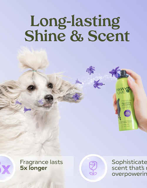 Load image into Gallery viewer, Grooming Spray Dog Spray Deodorizer Perfume for Dogs - Dog Cologne Spray Long Lasting Dog Sprays - Dog Perfume Spray Long Lasting after Bath- Dog Deodorizing Spray (Lavender)
