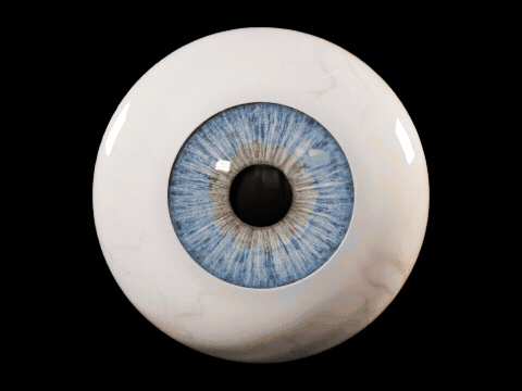 40 eyes