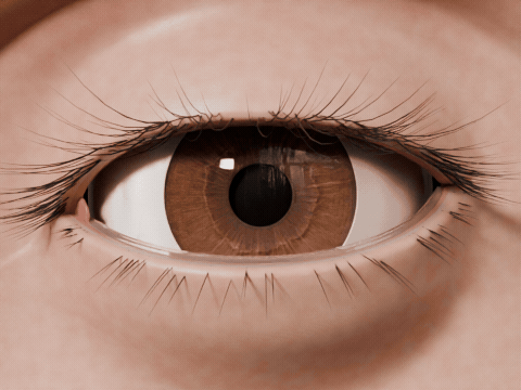Eyelids that blink