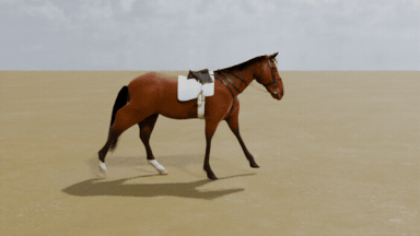Walk, trot, canter, gallop
