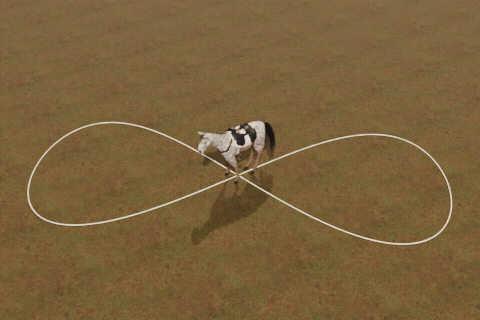 Draw a path, it follows