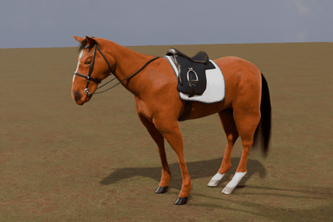 Saddle up