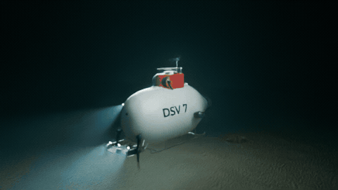 Lights on in the deep